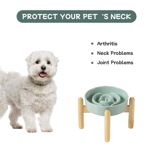 Havniva 6.1” Raised Slow Feeder Dog Bowls, 0.9 Cups Ceramic Dog Bowl Slow Feeding for Small Breed, Elevated Puzzle Dog Food Bowl with Wooden Stand Non-Slip Anti-Gulping & Anti-Choking - color: 1 x Light Green+Stand-A, size: 6.1inch-New