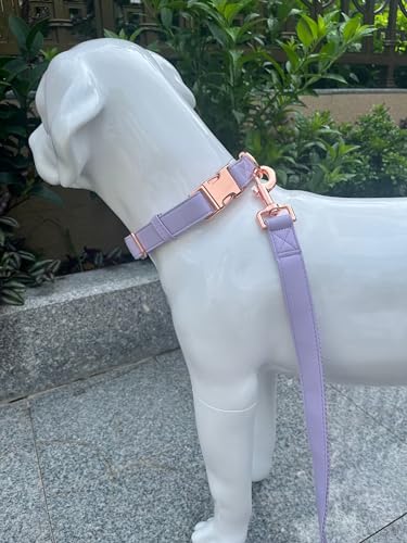 Dog Collar and Leash Set.Soft and Easy to Clean Vegan Leather with Rose Gold Metal Buckle for Small Medium Large Dogs (Light Purple, XS(8"-12")) - color: Light Purple, size: XS
