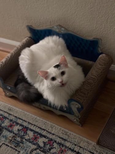 Luxury Cardboard Cat Scratcher Sofa Bed, Couch Shaped Cat Scratching Board, Scratch Lounge with Catnip, Scratcher for Indoor Cats Kittens Kitties - color: Blue Crown