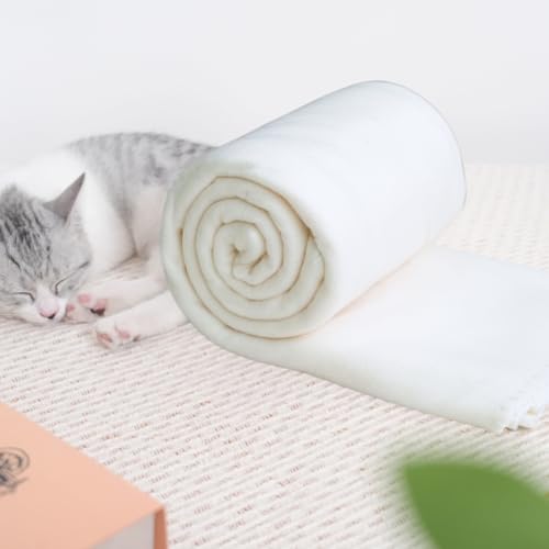 ZYFZCYBL Fleece Throw Blankets Lightweight Warm Soft Cozy Pet-Friendly Bulk Fleece Throw Blanket Solid for Home Bed, Sofa,Office,Gifts, Couch (Pack of 6-50 x 60 inch,White) - color: White