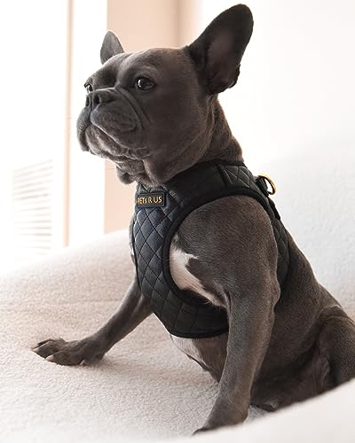 Step in Dog Cat Harness Choke Free Escape Proof Pet Vest Quilted Vegan Leather Breathable Mesh Padded for Small Medium Dogs (Black, Large) - color: Black, size: Large: Neck=12.5-14''/Chest:18-21''