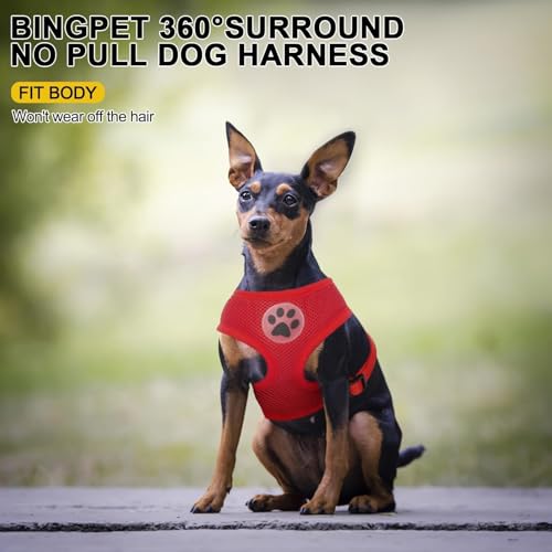 BINGPET Small Dog Harness, No Pull Dog Harness Small Sized Dogs, Soft Light Breathable Mesh Puppy Vest with Safety Buckle-Adjustable Step in Pet Harnesses for Easy Walking, Running, Training - color: Red, size: XS (NECK: 10", CHEST: 10"-14")