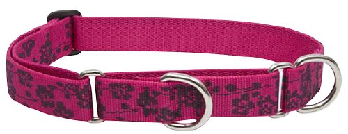 LupinePet Originals 1" Plum Blossom 19-27" Martingale Collar for Large Dogs - size: 1"W; 19-27" Neck