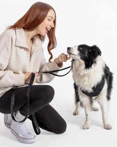 Fei & Eve Classic Dog Leash - 6FT, Dual Padded Handles, 360° Swivel Hook, Heavy Duty 210D Nylon - No-Pull Design with Traffic Control Handle - for Small/Medium/Large Dogs, Black - color: Black, size: 6FT