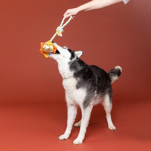 Fringe Studio Plush Dog Toy with Rope, Sun-Day I'm in Love, Pet Shop Collection (314526) - color: Sun-Day I'M In Love