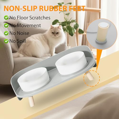 Elevated Dog Bowls Set, Ceramic Pet Food & Water Bowls with Non-Slip Stand, No Spill Design for Cats/Small Medium Dogs Gray - color: Gray