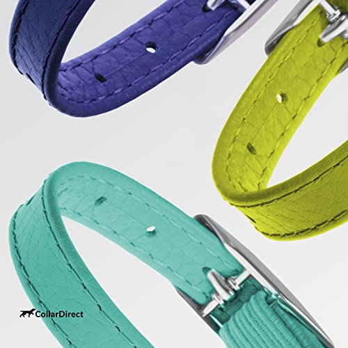 CollarDirect Leather Cat Collar with Removable Bell – Safety Elastic Strap (Breakaway Alternative) – Kitten Collar for Small & Big Boy & Girl Cats - color: Mint Green, size: Neck Fit 6"-7"