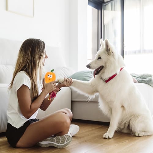 Balacoo 2 Pcs Squeaky Latex Pumpkin Dog Toys, Chew-Redirecting for Destructive Chewing, Teeth-Grinding Texture for Dental Health – for Small & Medium Dogs, Halloween & Fall Play