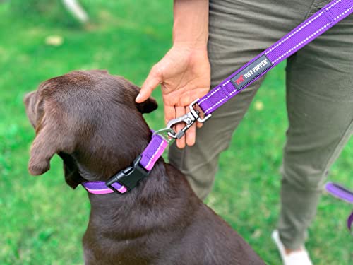 Tuff Pupper Heavy Duty Double Handle Leash | Twist Locking Carabiner Clip | Safety Lock for Strong Dogs | Reflective for Safe Night Walks | 6 Foot Leash | For Medium & Large Dogs - color: Purple
