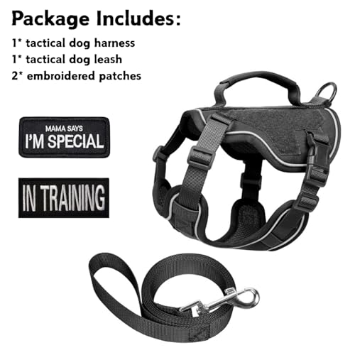 Tactical Dog Harness and Leash Set for Small Dogs - Military Puppy Vest Harness with Patches Vertical Handle Reflective Pet Harness for Walking Hiking Outdoor Training (Black, XS) - size: Xs