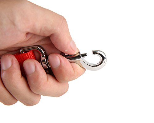 Nylon Dog Training Leash, Traction Rope, 4/5/6 Feet Long, 3/4 Inch 1 Inch Wide, for Small and Medium Dogs (1'' x 4 FT, Red) - color: Red, size: 1'' x 4 FT