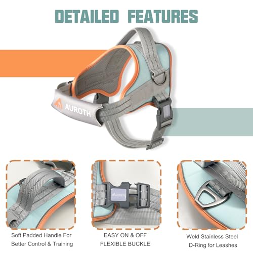 AUROTH Dog Harness and Leash Set, Soft Padded Service Dog Vest with 5.25FT Dog Leash, No Choke, Easy On Pet Vest, Adjustable Reflective No Pull Pet Vest Medium Sized Dog, Easy Walking and Training - color: Macaron Blue, size: Medium