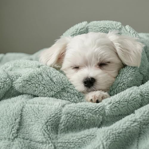 David's Home Large Dog Blankets Washable Pet Bed Cover Twin Size, Soft Fluffy Fuzzy Cat Puppy Blanket with Premium 300GSM Fleece for Pet Kitten Doggy, Aqua Gray, 66 * 90" - color: Aqua Gray, size: Twin