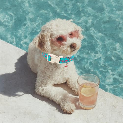 Summer Dog Collar, Cute Boy Flamingo Pool Party Dog Collars for Puppy Small Dogs - Beach Day Pup Collar, Soft Adjustable Male Pet Collars with Quick Release Buckle XS - color: Flamingo, size: XS