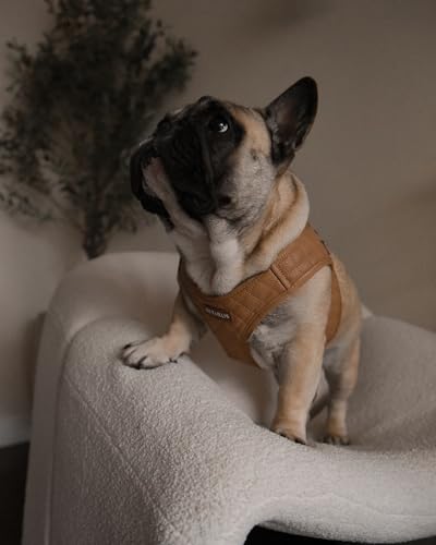 Step in Dog Cat Harness Lightweight Breathable Mesh Soft Padded Pet Vest Vegan Leather Choke Free Escape Proof for Small Medium Dogs (Tan Brown, Large) - color: Tan Brown, size: Large: Neck=12.5-14''/Chest:18-21''