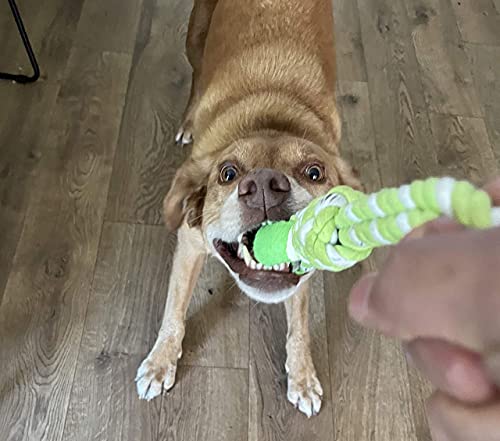 2 Piece Dog Training Ball on Rope, Cotton Rope Ball, Tug Ball Toy, Tough Rope Toy, Non-Toxic and Durable Dog Toys for Big and Small Dogs…