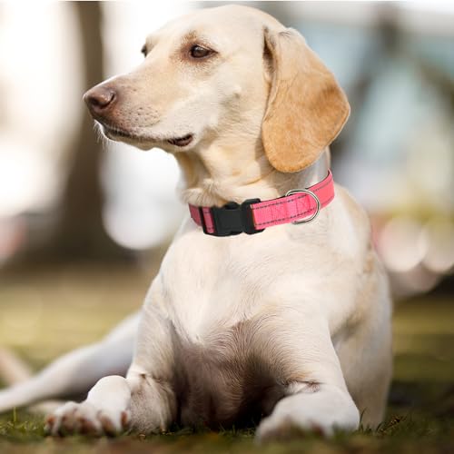 Dog Collars Adjustable for Small Dogs,Heavy Duty Waterproof Dog Collar with Quick Release Buckle,Girl Boy Female Male Reflective Nylon Dog Collar with Soft Neoprene Padded,S,Hot Pink - color: Hot pink, size: Small