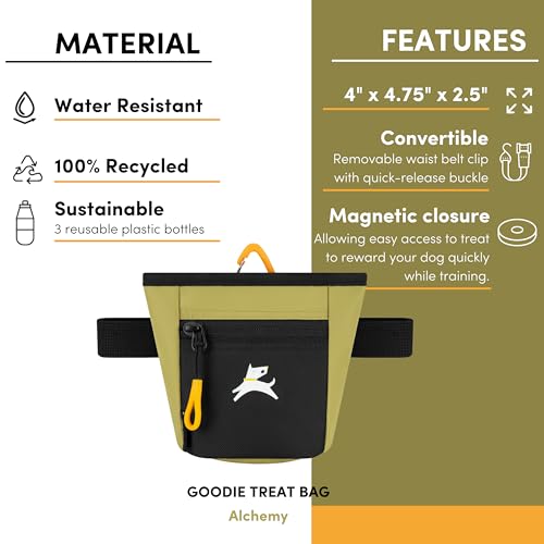 OllyDog Goodie Treat Bag, Dog Treat Pouch, Waist Belt Clip for Hands-Free Training, Magnetic Closure, Dog Training and Behavior Aids, Three Ways to Wear (Alchemy) - color: Alchemy
