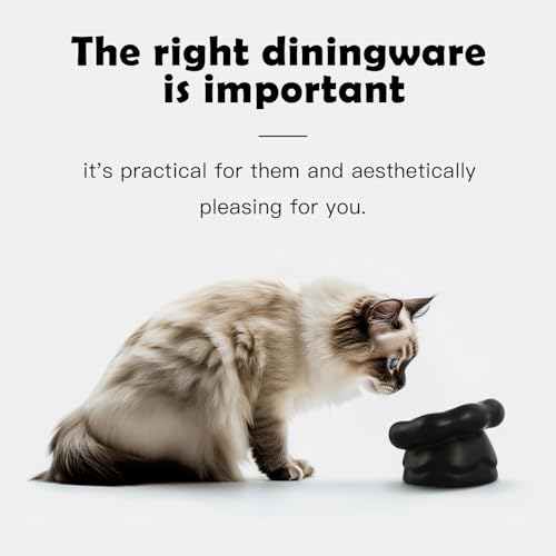 Cloud-Shaped Ceramic Cat Bowl - Elevated Raised Design for Indoor Cats & Kittens,Tilted Anti-Vomiting Shallow Dish with Spine Protection,Cute Whisker-Friendly Ceramic Food Bowls & Dishes (Black) - color: Black