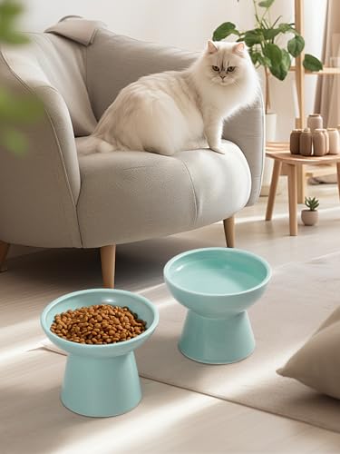 LoeJan Elevated Cat Food and Water Bowls Set, Extra Wide and Raised Ceramic Feeder, Anti-Vomit Whisker-Free Pressure Feeding Bowl for Kittens Adult Small Dogs (Blue, Food Bowl) - color: Blue, size: Single (Food Bowl)