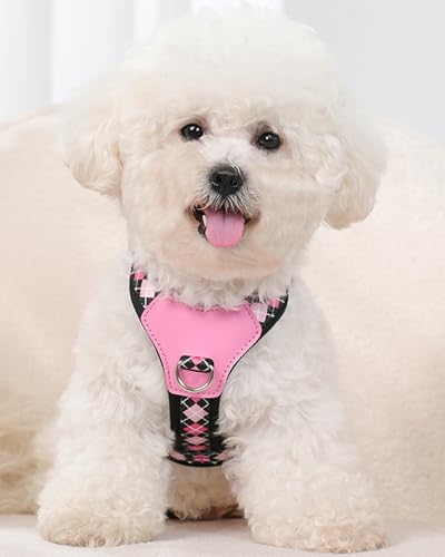 Petank Black Medium Dog Harness for Medium Dogs, No Pull Dog Harness with 2 Leash Clips, Puppy Harness, Adjustable Dog Vest Harness (Black, M) - color: Black, size: M