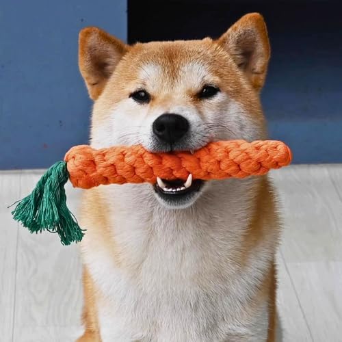 2ME 10 PCS Carrot Dog Rope Toys for Dogs, Durable Chew Toys for Aggressive Chewers, Entertainment & Interaction, Teeth Cleaning and Chewing, All-Cotton - size: 10-Pack