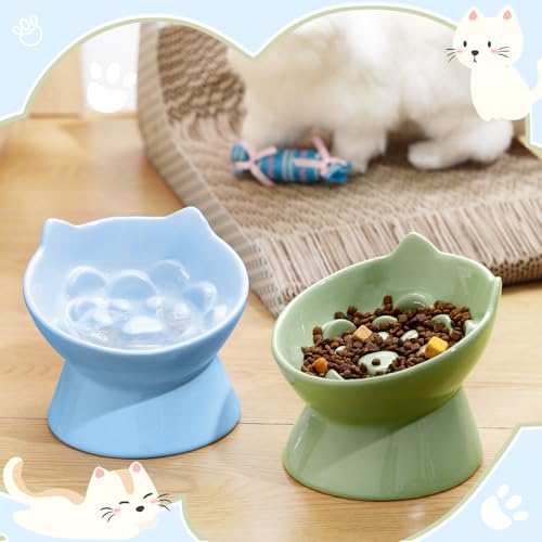 Funnymoom 2 Pcs Ceramic Raised Slow Feeder Cat Bowl, 5.91inch Elevated Cat Slow Feeder Bowl Tilted Anti Vomiting for Dry Wet Food and Water Easy to Clean High Edge(Green, Blue) - color: Green, Blue