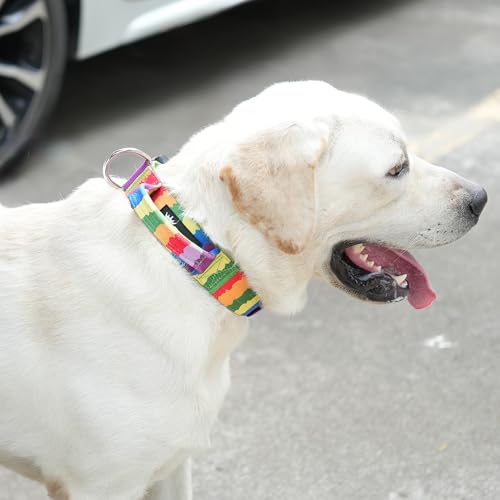 TSPRO Premium Dog Collars Tactical Dog Collar with Handle and Heavy Duty Quick-Release Metal Buckle Durable Thick and Adjustable for Medium to Large Dogs (Gradient Rainbow M) - color: Lucky Rainbow, size: Handle-Equipped M (14.5"-18" Adjustable)