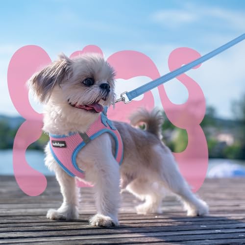 rabbitgoo Dog Harness Small Sized and Leash Set, Step-in Breathable Pet Harness, Soft Walking Reflective Puppy Vest for Small Dogs, Pink & Light Blue, XS - color: Pink & Light Blue, size: XS (Chest: 13.3 - 15.5")