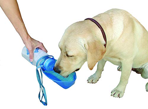 Lixit Hand Held Foldable Travel Hiking Outdoor Watering Bottle Bowl for Dogs (Pack of 2, Granite) - size: Pack of 2