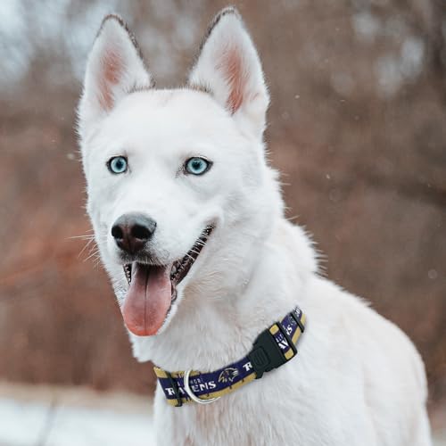 New & Improved Pets First NFL Licensed PET Collar- Heavy-Duty, Strong, and Durable New Dog Collar. Available in 32 Football Teams and 4 Sizes - color: Baltimore Ravens, size: Medium
