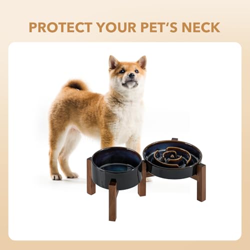 Havniva 1.2 Cup Elevated Slow Feeder Dog Bowls, 7.3” Dog Slow Feeding Bowls + 6.1” Ceramic Dog Water Bowls Set with Acacia Wood Stand, Dog Food Bowls Puzzle Feeder for Small Dogs Non-Slip Anti-choking - color: 2 x Starry Sky + Stand - A, size: M- 7.3inch