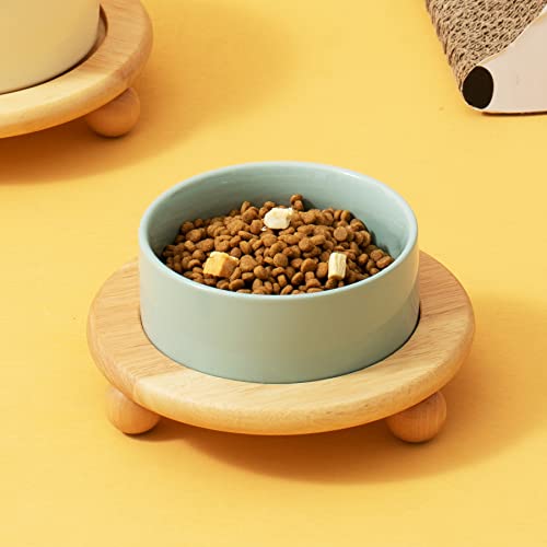 Havniva Raised Cat Bowls Water Bowl 5.1” Elevated Ceramic Cat Food and Water Bowl Whisker Friendly Pet Food Bowls for Indoor Cats, Wide Cat Water Dish Prevent Whisker Fatigue Non Slip Cat Feeder - color: 1 x Bowl + Stand - Light Green