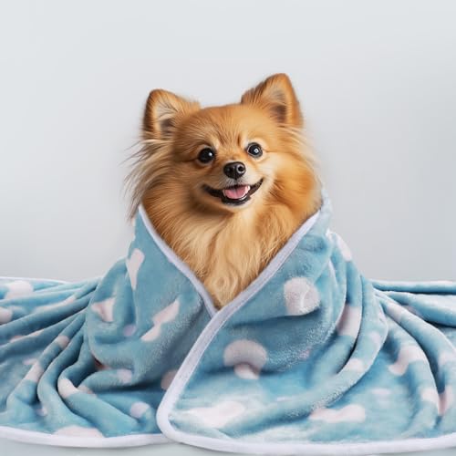 1 Pack 3 Blankets Super Soft Cute Dot Pattern Pet Blanket Flannel Throw for Dog Puppy Cat Purple/Pink/Cyan Small - color: Purple/Pink/Cyan, size: 23x16 inch (Pack of 3)