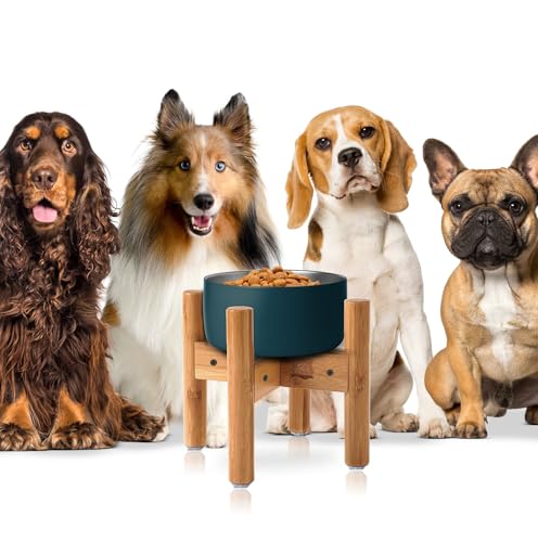 Dog Bowl Stand - Raise, Elevate Bowls to 9-inch High - Adjustable, Fits 6 up to 8-inch Medium Dog Food/Water Feeders, Dishes and Fountains - Durable Bamboo - color: Bamboo, size: For Medium Dogs - 9 inch Height