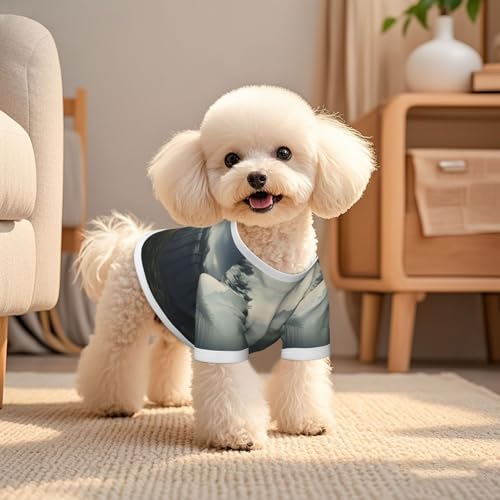 Dog Shirt Mesh Breathable T-Shirt Cloud Forest Dog Clothes Summer Stretchy Pet Clothes Quick Dry Cats Puppy Vest Lightweight Tank Top Pet T-Shirts for Training Hiking - size: Large
