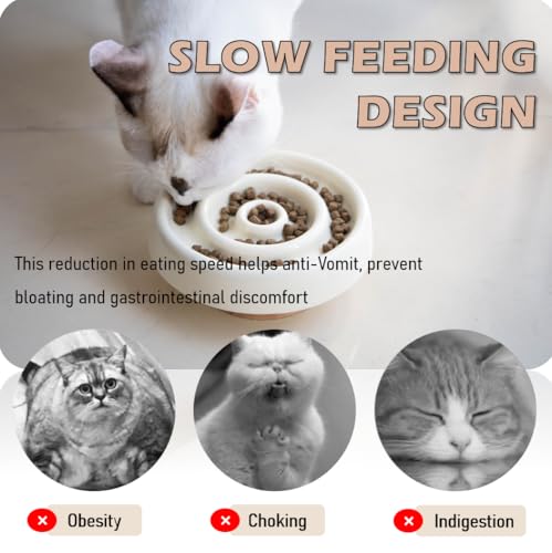 Ceramic Cat Slow Feeder, Raised Slow Feeder Cat Bowl, Anti Vomiting and Whisker Friendly Kitty Dish, Elevated Puppy Kitten Food Bowl for Dry and Wet Food (White) - color: White