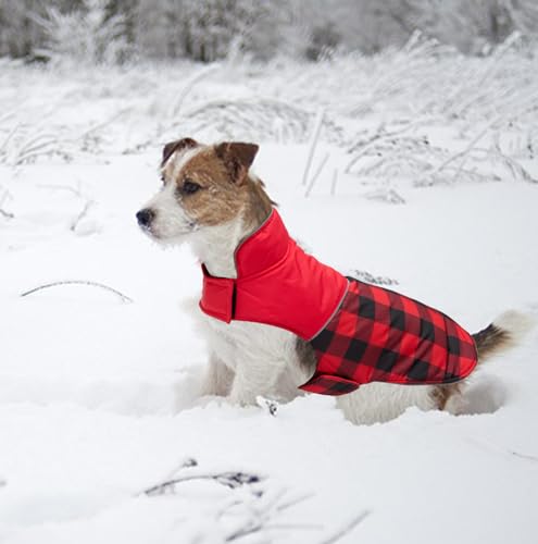 Geyecete Reversible Plaid Dog Winter Coat - Water Resistant, Soft, Warm - Leash Hole - Red - L - color: Red, size: Large