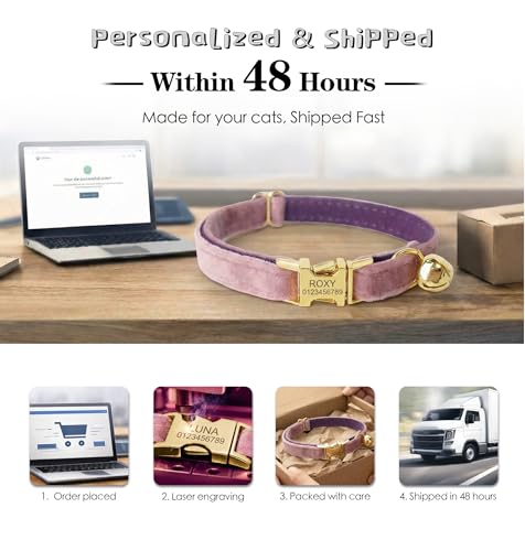 Personalized Velvet Cat Collar with Bell, Custom Engraved Name and Phone Number, Adjustable Luxury Kitten Collar, Non-Breakaway Secure ID Collar for Cats and Kittens - color: White, size: L