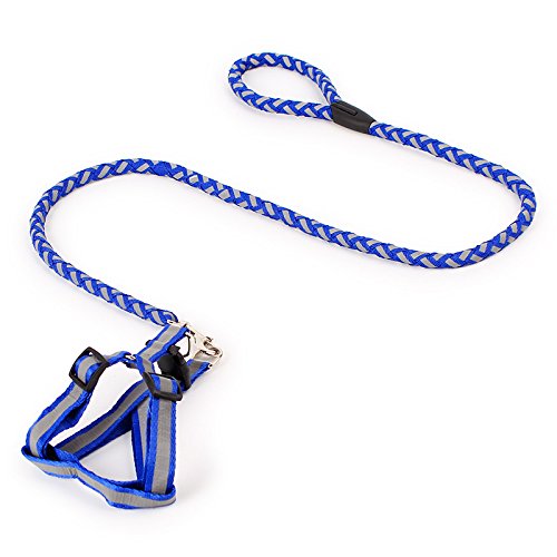 Dog Leash Reflective Glow in the Dark Durable Lightweight Rope for Night Walking and Outdoor Safety - color: Blue