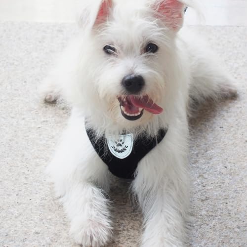 Pet Dog Vest Harnesses Puppy Cotton Polyester Adjustable Dog Mesh Harness Travel Chest Strap Vest Reflective (S, Black) - color: Black, size: S