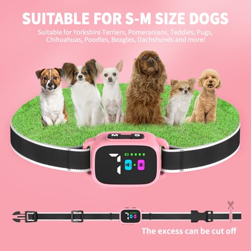 Anti-Bark Collar for Small Dogs, No Shock Anti Barking Collars with 7 Sensitivities, 3 Adjustable Modes Beep & Vibration, IP67 Waterproof - Effective & Humane, Sweet Pink