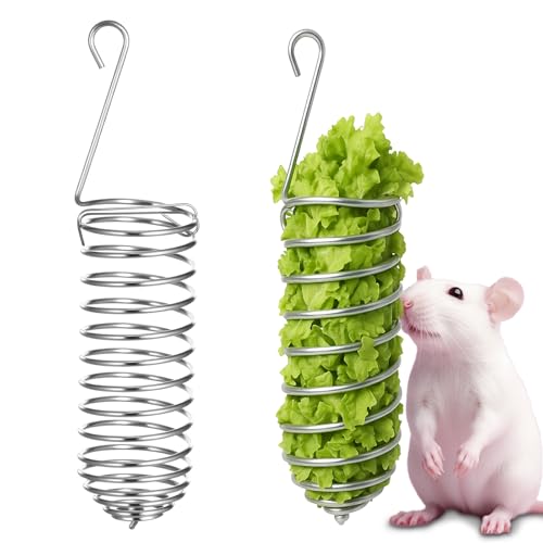 2Pcs Rat Enrichment Toys Stainless Steel Bird Food Holder Rat Parrot Foraging Toy Hanging Rodent Toy Fruit Vegetable Holder Puzzle Toy Slow Feeder Parakeet Foraging Mice Cage Accessories
