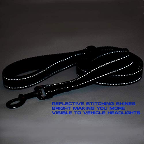 Max and Neo Reflective Nylon Dog Leash - We Donate One for Every Sold (Purple, 6ft) - color: PURPLE, size: 6 FT x 1" Wide