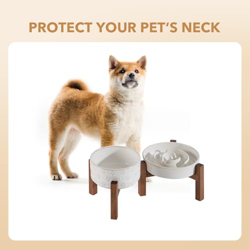 Havniva 1.2 Cup Elevated Slow Feeder Dog Bowls, 7.3” Dog Slow Feeding Bowls + 6.1” Ceramic Dog Water Bowls Set with Acacia Wood Stand, Dog Food Bowls Puzzle Feeder for Small Dogs Non-Slip Anti-choking - color: 2 x White + Stand - A, size: M- 7.3inch / 1.2