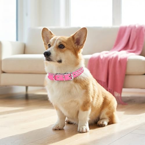 Rhinestones Dog Collar, Adjustable Sparkly Crystal Studded Genuine Leather Pet Dog Collar for Small and Medium Dogs (S, Black) - color: Black, size: S