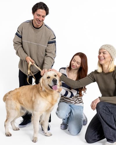 Fei & Eve Classic Dog Leash - 4FT, Dual Padded Handles, 360° Swivel Hook, Heavy Duty 210D Nylon - No-Pull Design with Traffic Control Handle - for Small/Medium/Large Dogs, Champagne - color: Champagne, size: 4FT