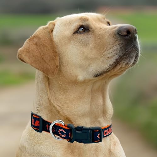 New & Improved Pets First NFL Licensed PET Collar- Heavy-Duty, Strong, and Durable New Dog Collar. Available in 32 Football Teams and 4 Sizes - color: Chicago Bears, size: Extra Large