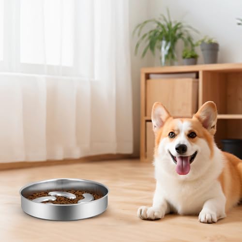 Slow Feeder Dog Bowl Stainless Steel, 2 Cups Heavy Duty with Non-Slip Base Dog Food Bowls for Small Medium Large Breed Size Dogs to Slow Down Eating