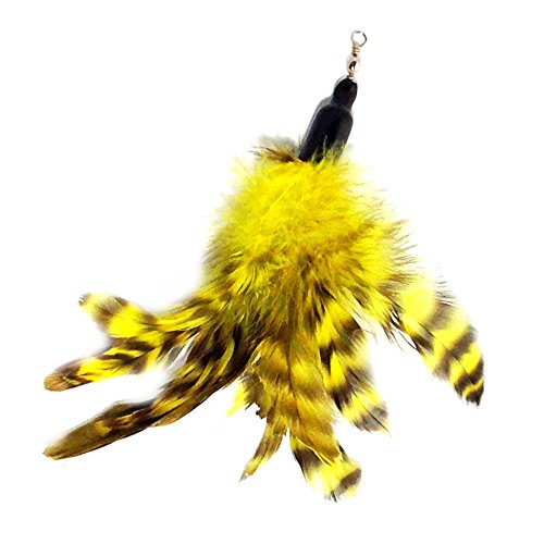 Pet Fit for Life Multi Piece Replacement Feathers Pack Plus Bonus Soft Furry Tail for Interactive Cat and Kitten Toy Wands… - style: 5 Feathers, 1 Tail